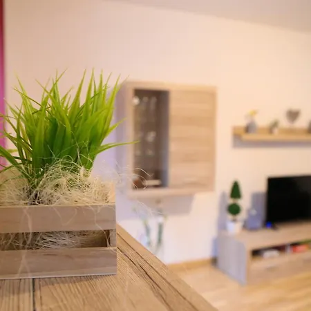 Nepomuk Apartament *