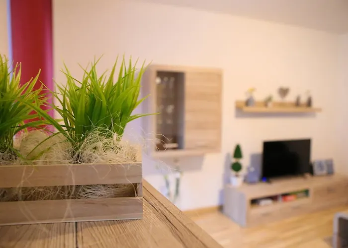 Nepomuk Apartament *