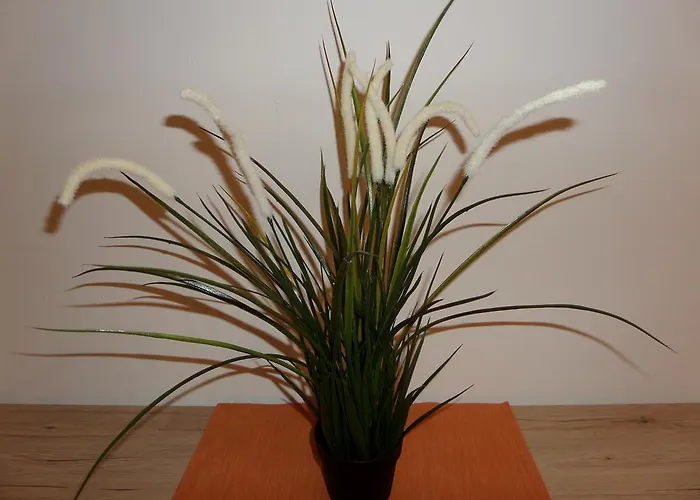 Nepomuk Apartament Kirchberg an der Pielach